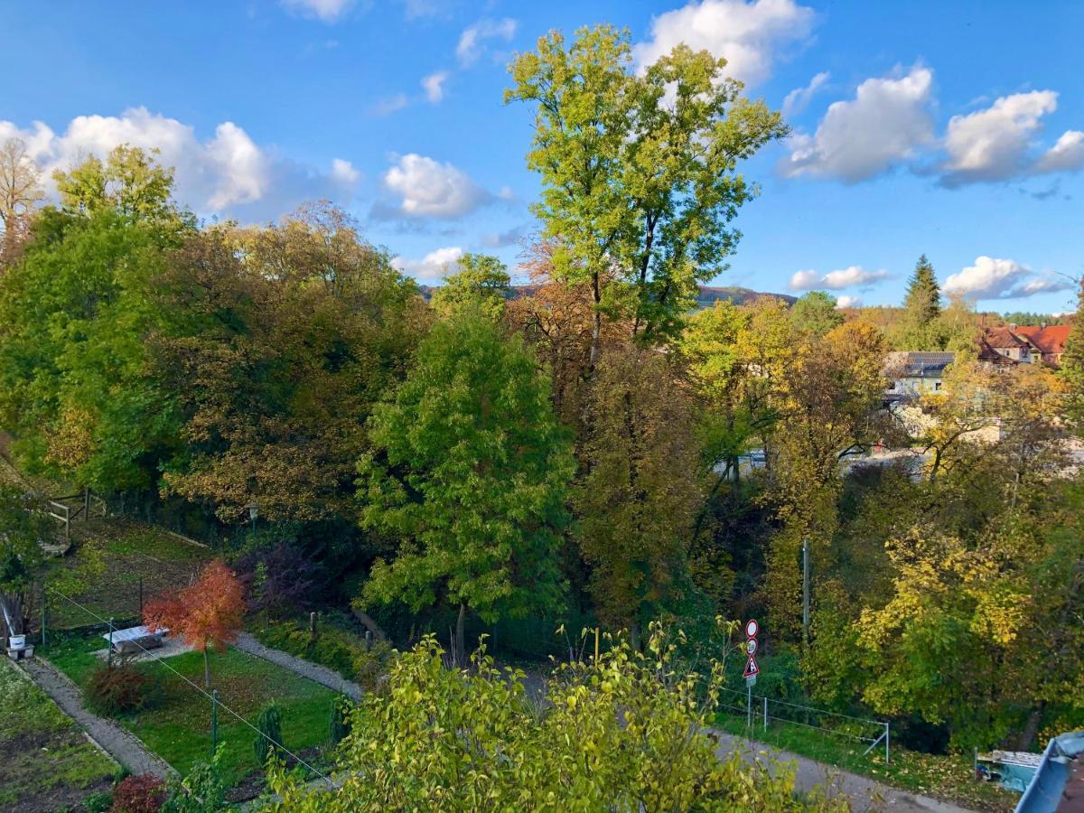 Ferienwohnung Im Gruenen Auf Idyllisch Gelegenen Gutshof Und Doch So Zentral فالدزهوت-تينغن المظهر الخارجي الصورة